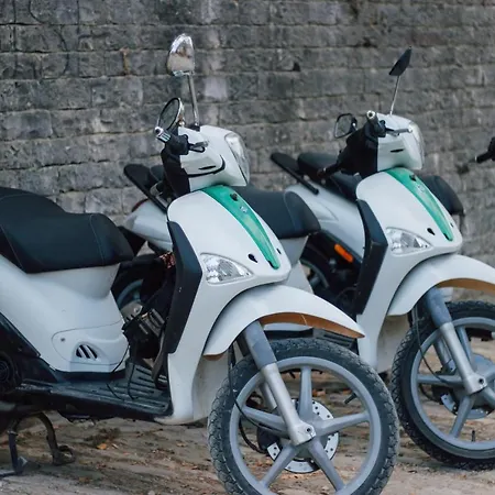 ホステル Trigona &