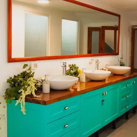 Trigona & Gjirokastër