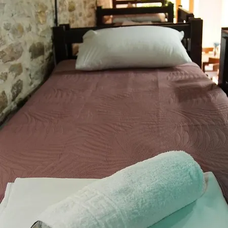 Trigona & ホステル