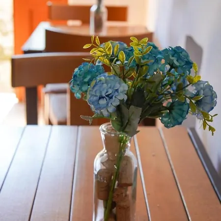 Trigona & * ジロカストラ