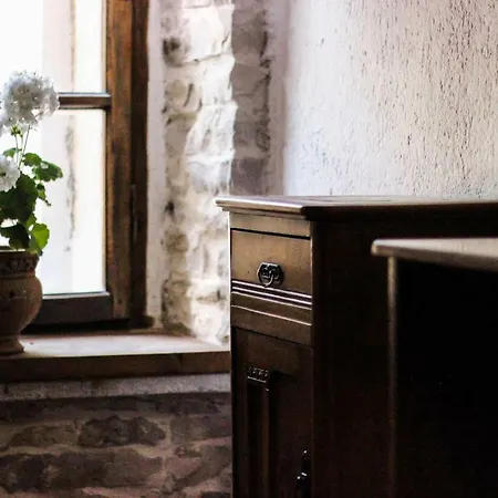 Trigona & Gjirokastër