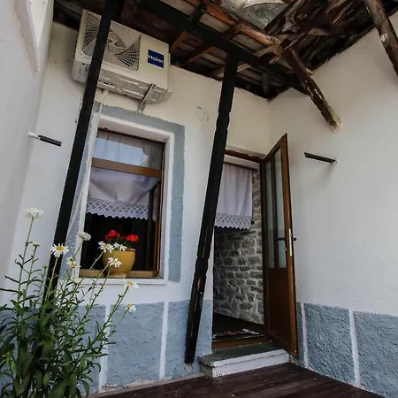 Trigona * Gjirokaster