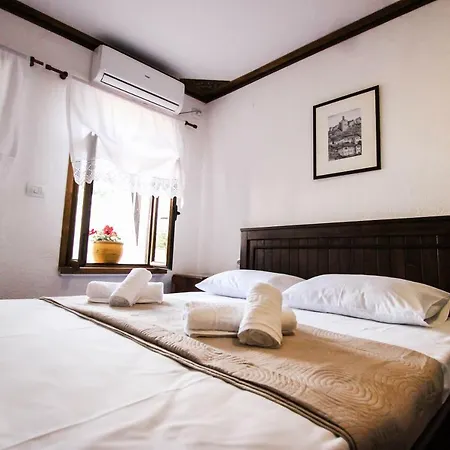 Trigona & * ジロカストラ