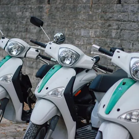 Trigona & Gjirokaster