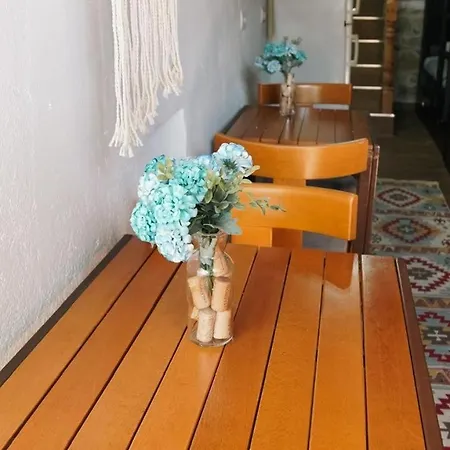 Hostal Trigona &