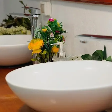Hostel Trigona & Gjirokastra