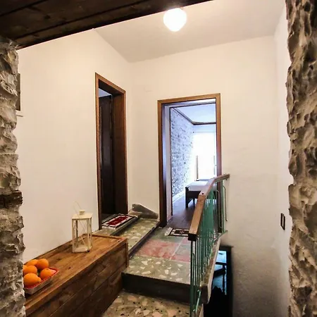 Hostal Trigona &