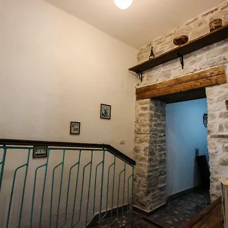 Hostel Trigona &