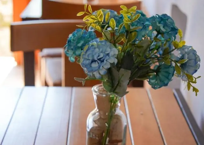 Trigona Guest House&hostel * Gjirokastër